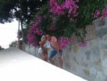/album/fotogalerie/a396894-10151084727783534-2057571679-n-jpg/